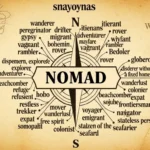 synonyms for nomad