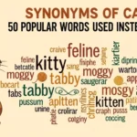 synonyms of cat