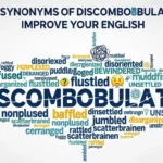 synonyms of discombobulated