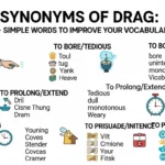 synonyms of drag