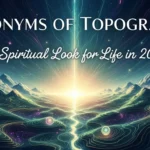 synonyms of topography