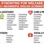 synonyms for welfare