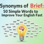 synonyms of brief
