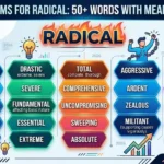 synonyms for radical