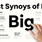 synonyms of big